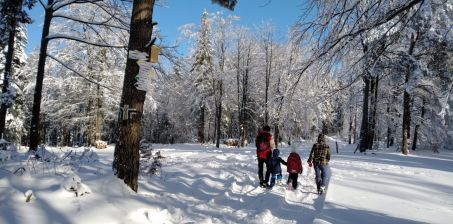 Lorem ipsum dolor sit amet 3